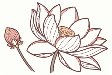 vector illustration of a flower