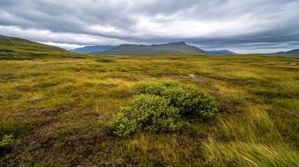 Expansive rural landscape featuring lush grass and mountains under a cloudy sky in the wilderness : Generative AI