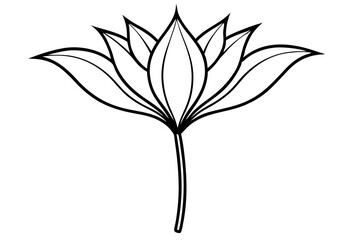 vector illustration of a tree