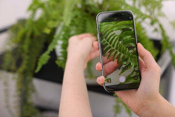 Woman using houseplant recognition application on smartphone indoors, closeup