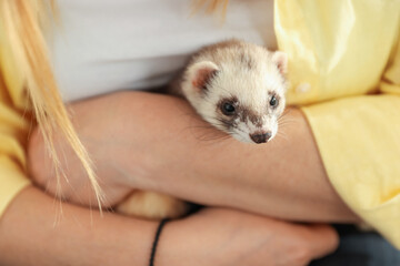 Woman with cute ferret, closeup. Domestic pet