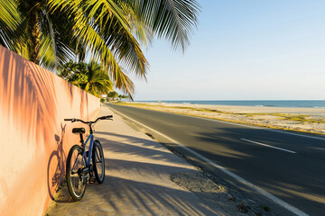 Fototapeta premium Bicycle Pink Wall Palm Shadow Beach Road Tropical Spring Break Travel