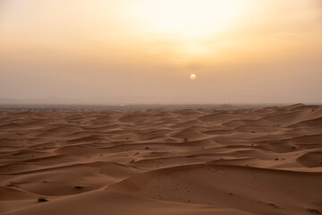 the Sahara Desert in Morocco 