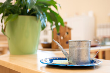 Close-up of a rustic metal watering can on a blue tray beside a green potted plant, creating a cozy indoor scene.