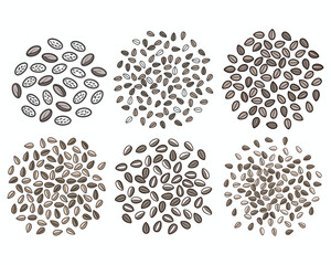 Collection of Chia Seed Types for Health and Nutrition