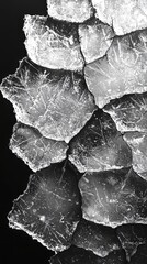 Obraz premium Intricate ice crystals forming a beautiful pattern on a surface in a cold winter environment