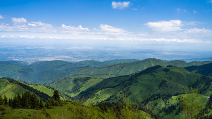summer in the mountains. green mountain peaks