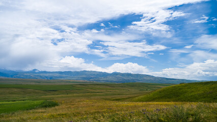 summer in the mountains. green mountain peaks
