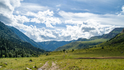 summer in the mountains. green mountain peaks