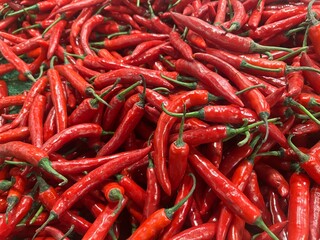 Large red chilies, which in scientific language are often called Capsicum Annuum L. are vegetables with a fairly high vitamin C content