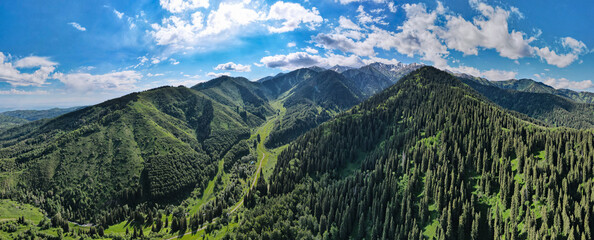 summer in the mountains. green mountain peaks