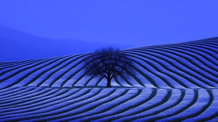 Majestic tree standing alone in a lush green field under a bright blue sky on a sunny day