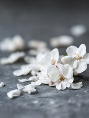 Fototapeta premium Delicate and Beautiful White Flower Petals Lying on a Gray Stone Surface : Generative AI