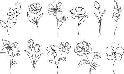 Flowers drawing collection elegance one continuous line art. 