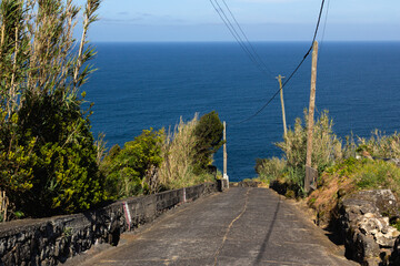 Fototapeta premium A winding coastal road descends towards the deep blue ocean, surrounded by lush vegetation and utility poles, capturing the beauty of a remote island landscape.