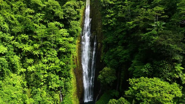Aerial view of a lush tropical waterfall surrounded by vibrant forest and serene ocean, Apia, Tuamasaga, Samoa.