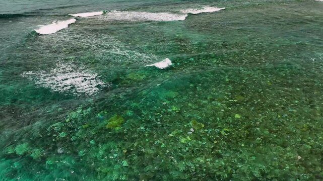 Aerial view of beautiful coral reef with crashing waves, pristine beach, and tropical islands surrounded by clear water and palms, Port Vila, Shefa, Vanuatu.