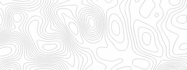 Abstract topography pattern seamless lines sea map modern design white background. Abstract digital topographic contour map concept space geometric strip grid line. Natural discovery of maps.