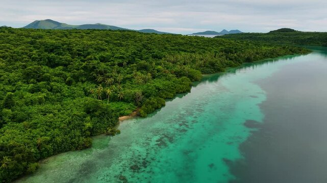 Aerial view of pristine beach with turquoise water, lush palms, and coral reef, Port Vila, Shefa, Vanuatu.