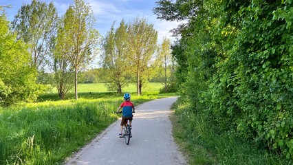 Obraz premium A young child wearing a helmet rides a bicycle along a sunlit countryside path, surrounded by lush green trees and fields. A peaceful and active outdoor moment.