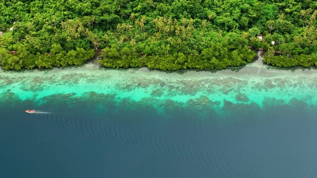 Aerial view of beautiful turquoise beach with serene waves and lush palms, Port Vila, Shefa, Vanuatu.