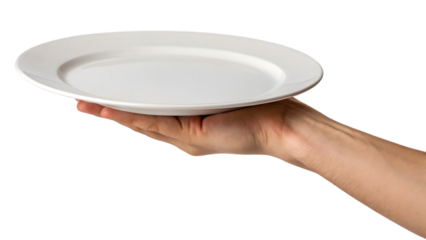 hand holding a white plate