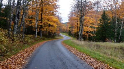 Obraz premium Scenic winding road through vibrant autumn trees capturing the essence of fall colors : Generative AI