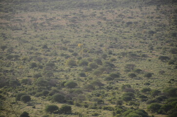 aerial view of the valley