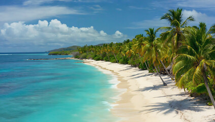 Tropical beach with white sand and palm trees