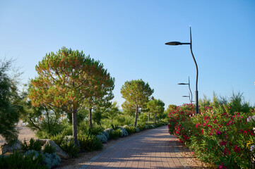 A tranquil walkway surrounded by greenery and blooming flowers invites visitors to enjoy a sunny day outdoors.