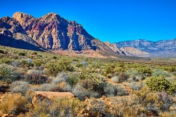 Red Rock Canyon Sandstone Cliffs and Desert Vegetation Eye-Level View