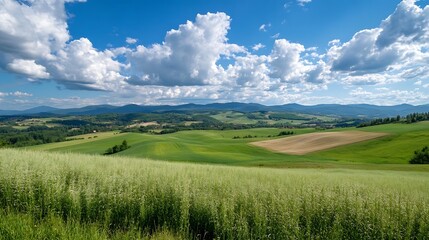 Vast green fields under a bright blue sky with billowing clouds and distant mountain range : Generative AI