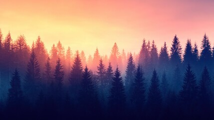 Misty Sunrise in a Coniferous Forest