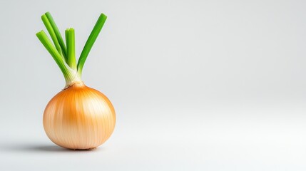 Fresh onion with green shoots on a minimalist background