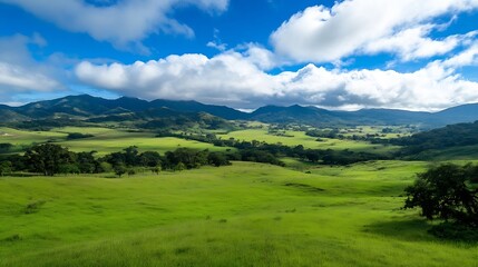 Obraz premium Vast green rolling hills under a beautiful blue sky with fluffy clouds bringing a serene countryside view : Generative AI
