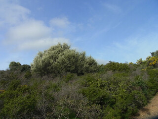 Obraz premium Paesaggio