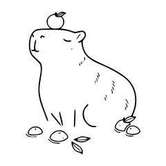 cute capybara with apple on head