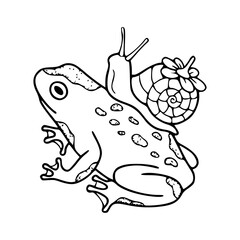 frog and snail best friends