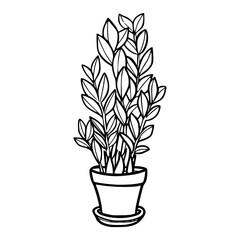 ZZ plant in pot outline vector illustration