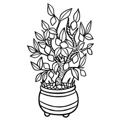 bonsai tree in pot outline vector illustration