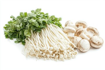Fresh Culinary Duo Delicate Enoki Mushrooms and Aromatic Cilantro Alongside Champignon on White Background
