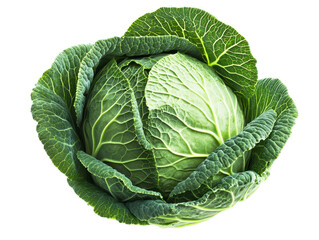 Isolated Green Cabbage