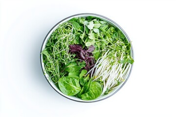Fototapeta premium Fresh blend of sprouts and baby spinach in gray bowl set on crisp white for wellness focused photography