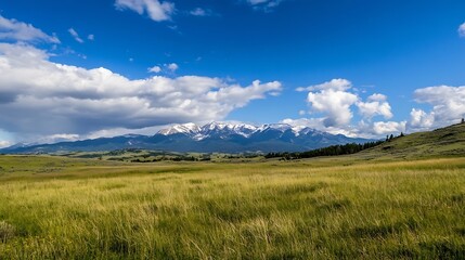 Obraz premium Expansive golden grassland with majestic snowcapped mountains in the distance under a clear blue sky : Generative AI