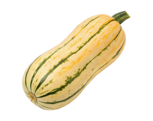Delicata squash with vibrant yellow and green skin, isolated on a white transparent background, showcasing its unique shape and texture, perfect for culinary or agricultural imagery