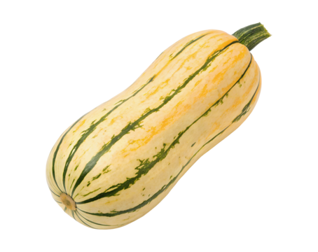 Delicata squash with vibrant yellow and green skin, isolated on a white transparent background, showcasing its unique shape and texture, perfect for culinary or agricultural imagery