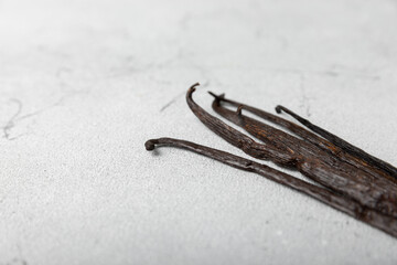 Vanilla pods on a textured background. Vanilla flowers and seeds. vanilla stick bean. Aromatic...