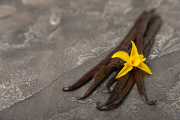 Vanilla pods on a textured background. Vanilla flowers and seeds. vanilla stick bean. Aromatic spicy spice for pastries and desserts. Seasoning. Space for text. Copy Space