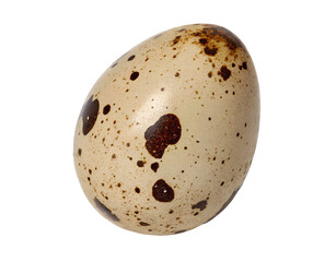 Realistic quail egg isolated on a white transparent background, high-detail cutout, accurate texture, natural colors, perfect for product mockups, food packaging, and culinary designs