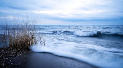 Misty shoreline with soft waves and golden grasses under a cloudy sky : Generative AI